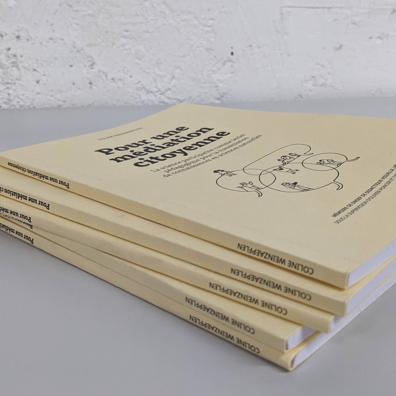 Thesis : for a citizen science mediation